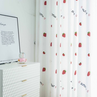 窗帘透光不透人纱帘小清新成品防蚊透光隔断N卧室客厅阳台窗纱飘