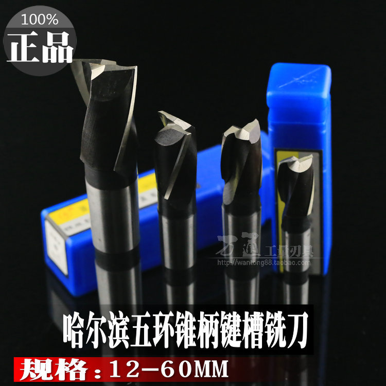 哈尔滨五环锥柄键槽铣刀12-50mm锥柄白钢立铣刀高速高铣刀钻床