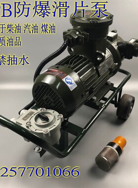 防爆油泵柴油汽油滑片泵HPB系列输油泵AC220V380V DN-25 40 50 80