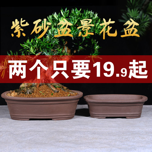 花盆2021新款紫砂长方形盆景专用花盆特价清仓大号陶瓷花盆热销榜