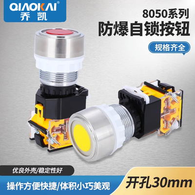 防爆自锁按钮BA8030 不锈钢停止启动开关BA8050现货 防爆箱专用