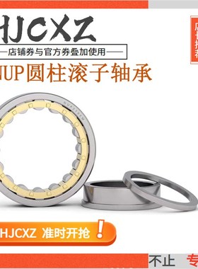 圆柱滚子轴承N NUP NU NJ1005 1006 1007 1008 1009 1010 1011EM