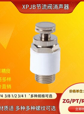 白色消音器  气缸电磁阀消声器 XPJB-ZG1/8PT1/4R3/8RC1/2-04DN6