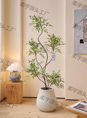 绿植室内软装搭配植格物F779J595盆栽南天竹简假树原木风约装饰