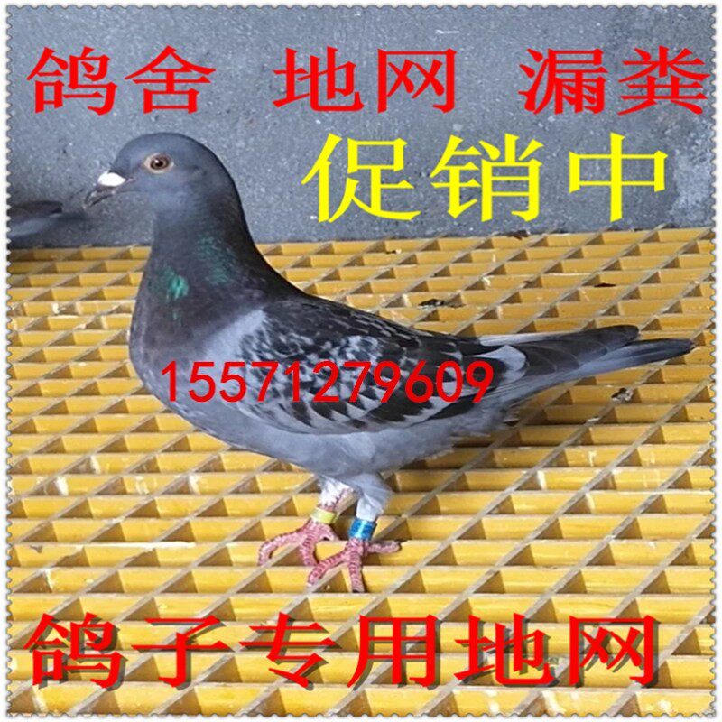 盖板排水沟玻璃钢店地格栅免挖沟洗车地板板洗车房漏Y水排水沟店
