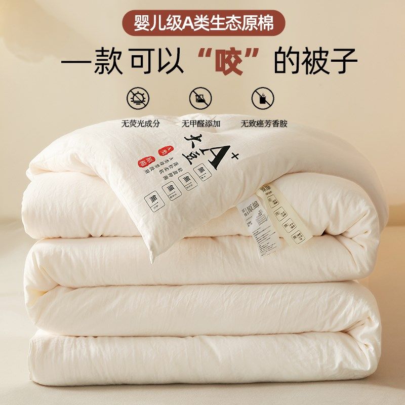 春秋被子2024新款四季通用加厚露营大豆纤维冬被太空棉单双人便携