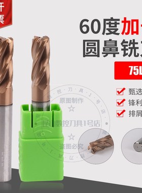 HGK60度钨钢加长圆鼻刀75L牛鼻刀4R0.2 6R0.2 4R0.5 6R0.5 8R0.5