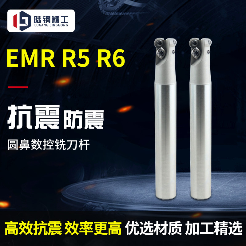 EMR铣刀杆R5 R6加硬抗震立铣刀杆圆形开粗刀杆25 30 35 40 50*200