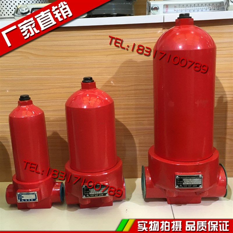 液压过滤器 滤油器 滤芯ZU-H10 H25 H40 H63 H100*10/20/30-P/DLP,鲜花速递/花卉仿真/绿植园艺,水枪,淘宝优惠券,粉丝福利购,淘宝优惠卷