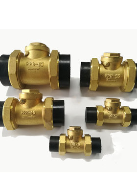PE黄铜止回阀水管水表DN15/20/25单向阀4/6分1寸横式卧式逆止阀63