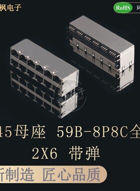 RJ45网口母座 59B-8P8C 2X6双层全包带弹网络连接器 12口卧插
