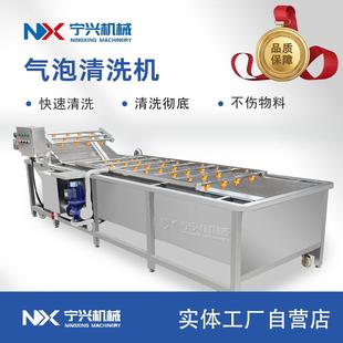 宁兴全自动杨梅气泡清洗设备大型香菜气泡清洗机多功能洗菜机