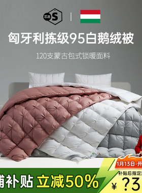 匈牙利进口羽绒被95白鹅绒五星级酒店春秋绒丝被芯冬被子加厚保暖