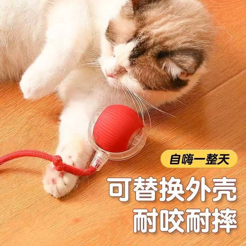 新品猫玩具d球电动猫咪玩具狗狗自嗨神器解闷带绳球宠物猫咪玩具