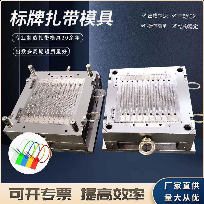 乐清博锐专业生产制造尼龙扎带模具钢钉线卡模具热流到模具