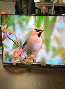 LG27寸液晶屏：LM270WF8-SSA1  全新A屏 4边无边框 质量保证 A规