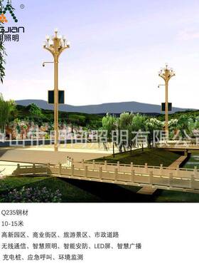 制多能智慧路灯 公功MNF园业街区视频监控智慧玉商兰定路灯