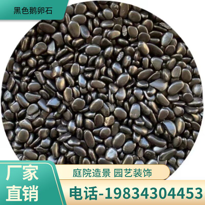 云南黑色鹅卵石普光天然室内园林铺路造景花盆庭院鱼缸原石园艺雨