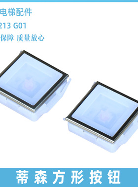 蒂森电梯按钮AN213 G01外呼按键上下方形超薄型轿厢轿内DC24V配件
