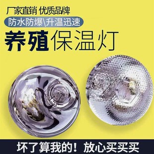 德国进口猪用保温灯养殖场专用保暖灯小鸡育雏加热烤灯仔猪舍兽用