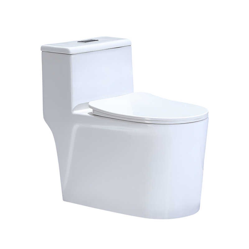 家用新款马桶坐便器虹吸式陶瓷抽水卫生间座便器小户型大冲水防臭