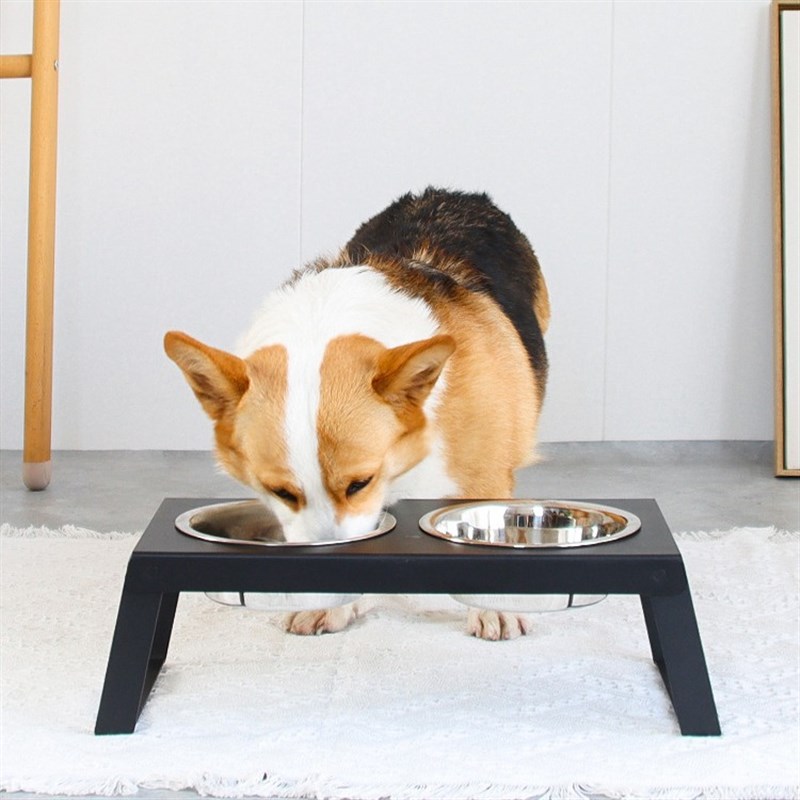 铁艺双盆b不锈钢狗食架狗盆狗碗猫碗宠物双碗支架狗食盆金毛大型