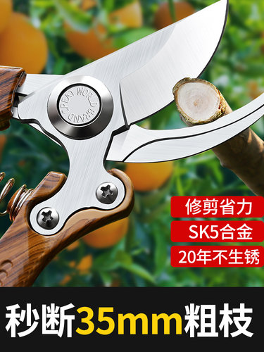 日本原装进口修枝剪果树剪树枝专用剪刀园艺花剪花艺枝条剪刀出口