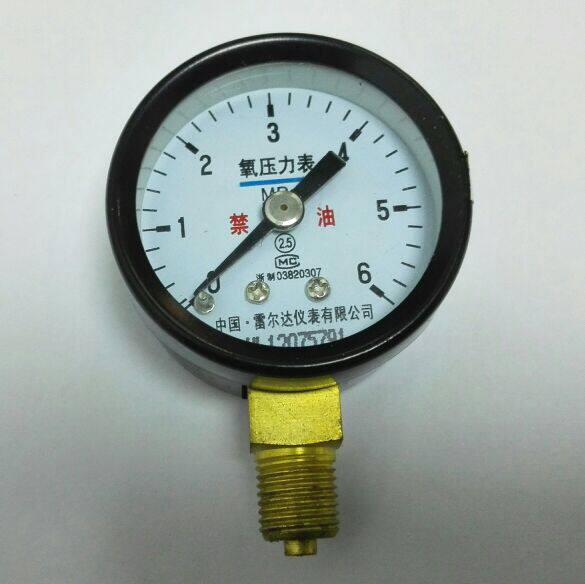 中国雷尔达仪表有限公司 氧气压力表 禁油 直径40mm 0-6mpa m10x1