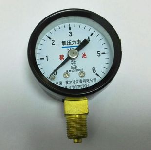 氧气压力表 6mpa 禁油 m10x1 直径40mm 中国雷尔达仪表有限公司