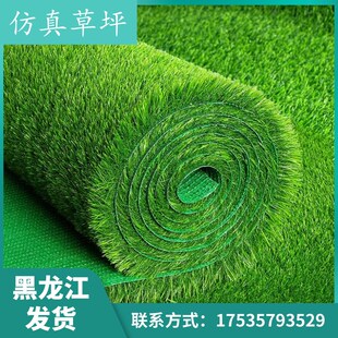 黑龙江仿真草坪地毯绿色塑料装饰人工草地铺垫幼儿园户外假草皮