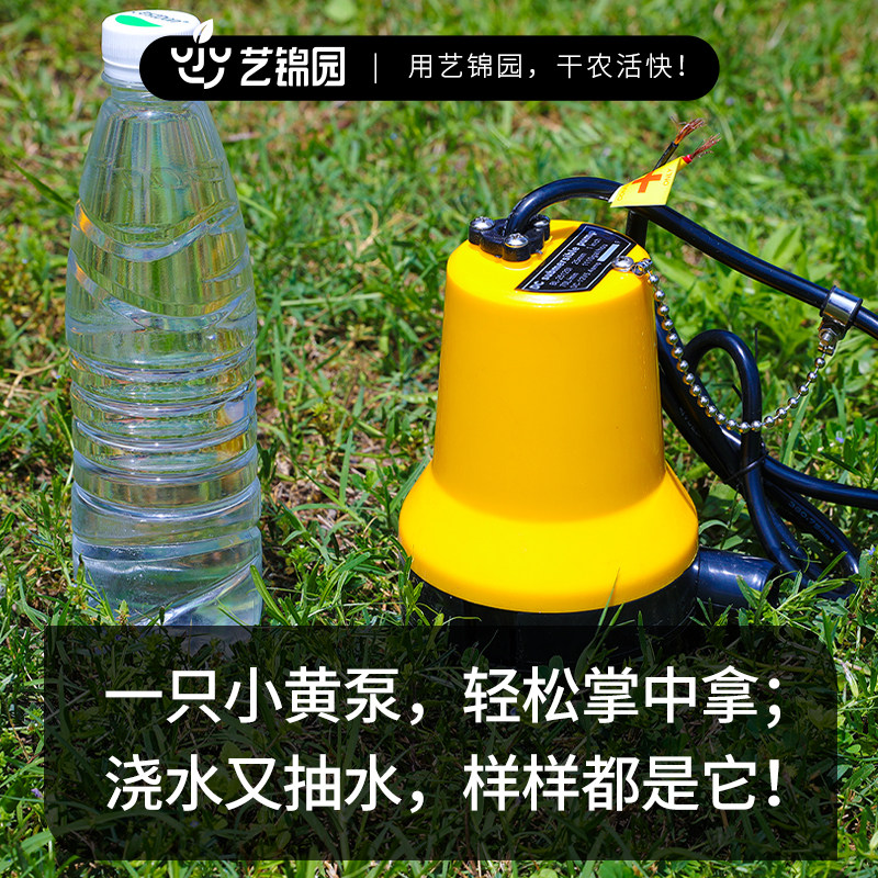 水泵电动抽水机家用潜水t泵12v浇菜小型浇水机直流电抽水机