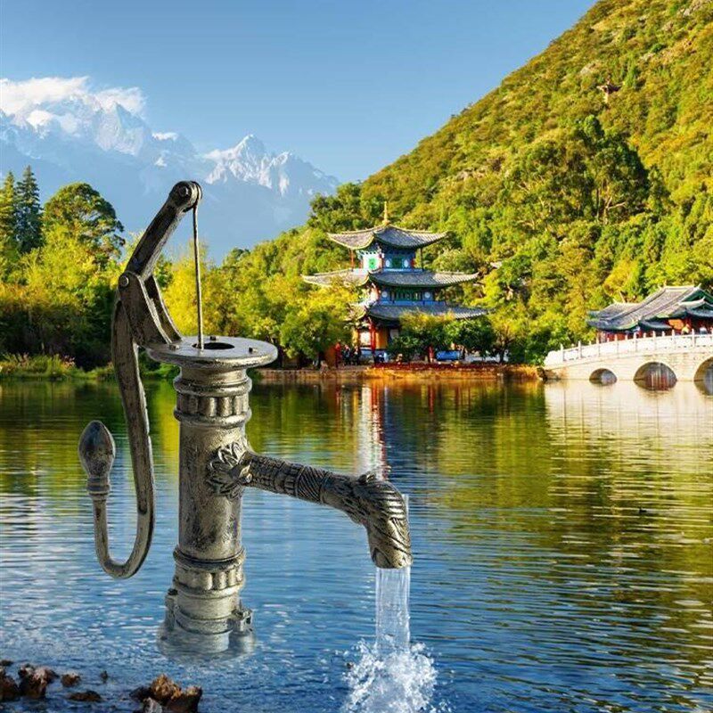老式铸铁压水井手动摇水泵压井头井水抽水器手P压泵家用水井手压