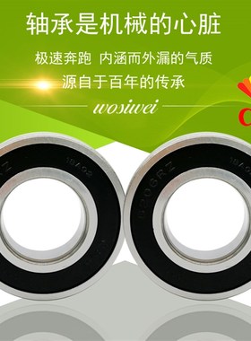 C&U人本电机轴承6216 6217 6218 6219 6220 6221 6222 6224-2RZ