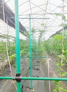 户外庭院葡萄架组装支架百香果苦瓜攀爬架铁艺棚架阳台植物爬藤架