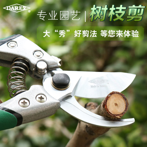 DAREX园艺树枝剪刀剪子神器工具强力园林花剪家用省力果树修枝剪