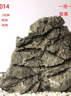 英德石龟纹石造景水o旱水陆缸盆景天然抱树石绿植花盆庭院客厅摆