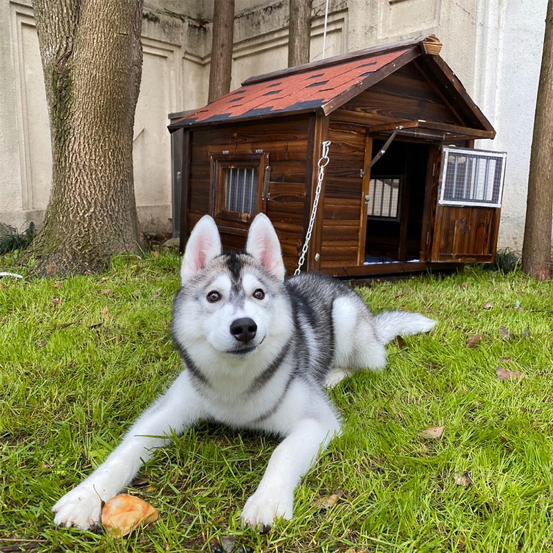 航峰 木质狗f屋户外实木宠物狗窝 防雨大型犬狗房子室外狗笼子