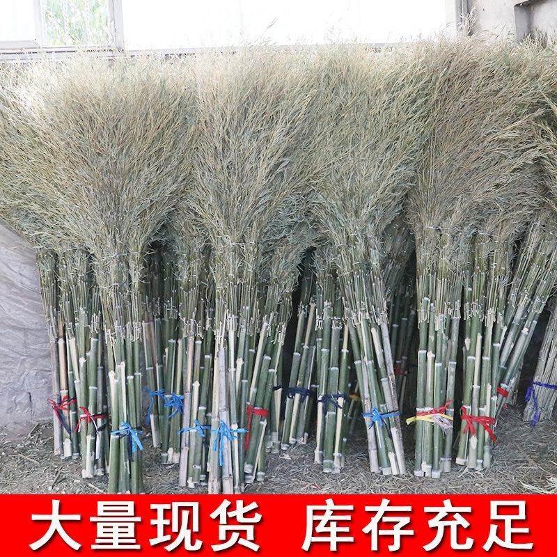 直发塑料丝大扫把竹扫帚竹扫把马E路扫地环卫扫把竹子十把一件