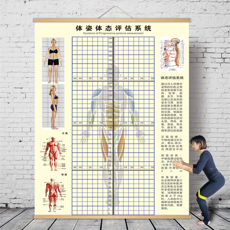 体态评估图健g身房体测表瑜伽私教站姿形体脊椎修复身体装饰挂画