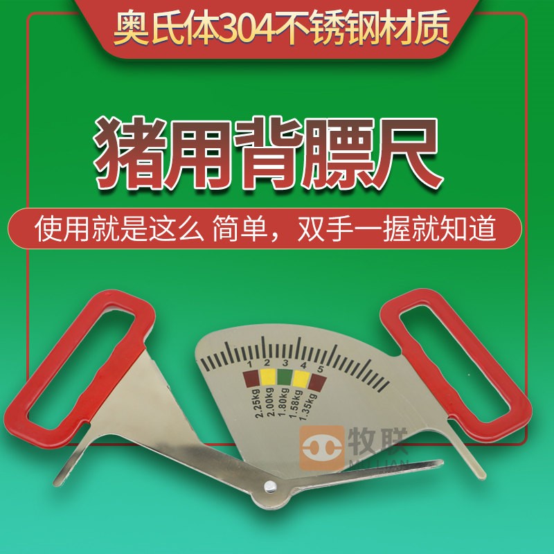 猪用饲喂卡尺背膘测定喂料管理标尺母猪妊娠Q期指导器膘情控制