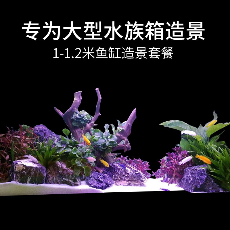 大鱼缸装饰造景套餐1-1.2米金鱼草缸天然真水草活体假山石头沉木