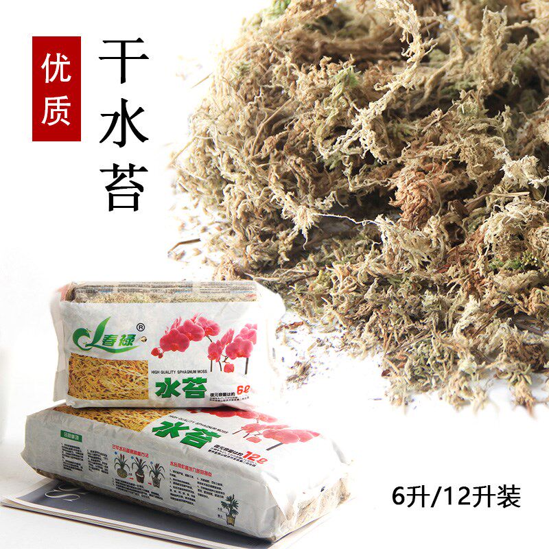 优质干水苔藓微景观生态水陆缸兰花石斛食虫专用鲜活干苔藓营养土