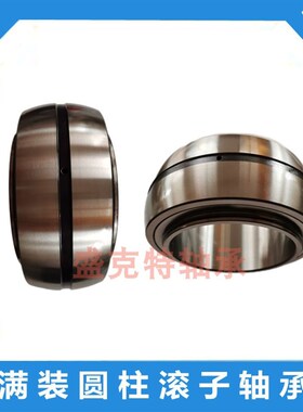 双列密封满装圆柱滚子轴承SL182110 183010 185010 183012 185012