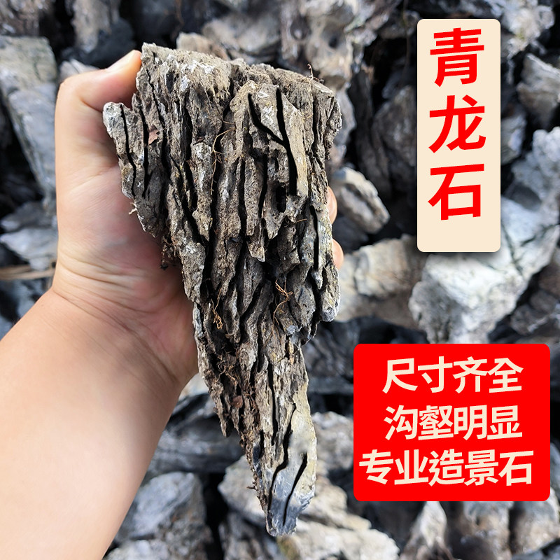 天然精品小块青龙石造景石酸洗英德石水陆缸碎石草缸装饰摆件假山