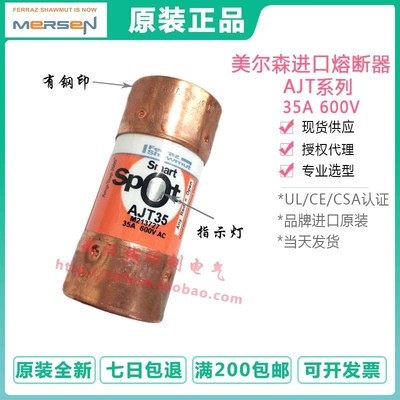 法国原装ferraz保险丝 Amp-Trap熔断器 SPOT AJT35 AJT45  600V