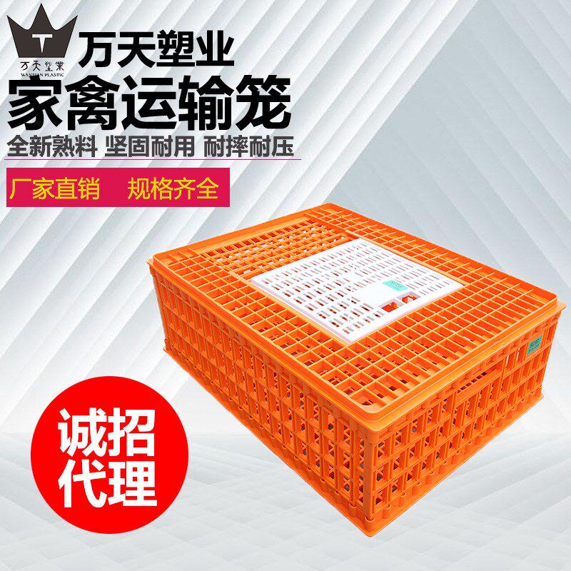 塑料鸡鸭笼周转n箱成鸡运输笼蛋鸡笼鸽笼子养殖鸡筐
