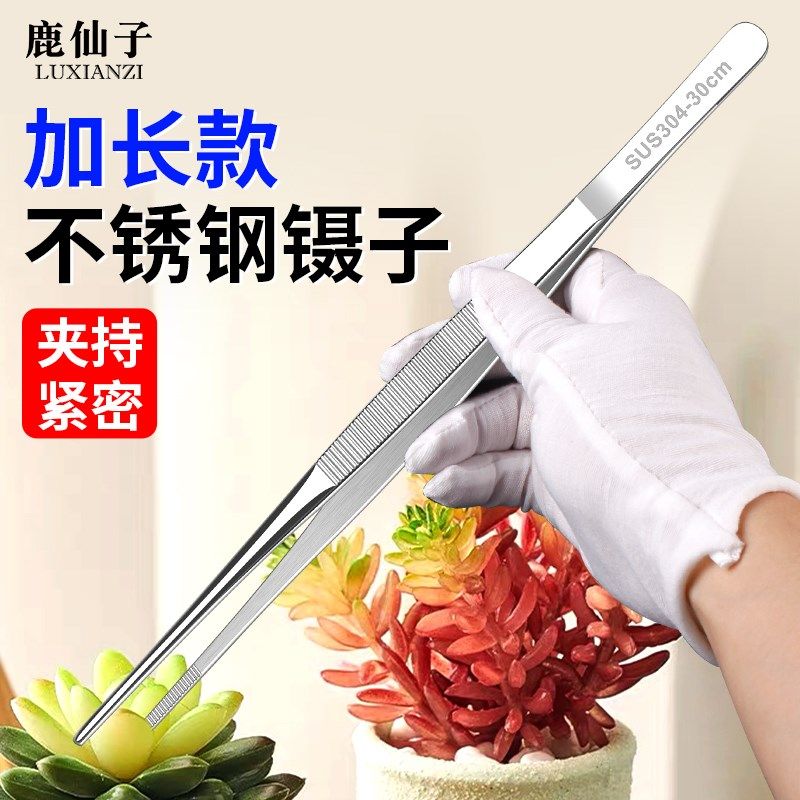 多肉专用镊子修理园艺加长不锈钢弯圆头夹种花枯叶修理微景观工具,运动包/户外包/配件,相机包,淘宝优惠券,粉丝福利购,淘宝优惠卷