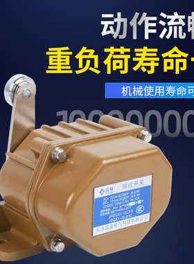 DQX1-GL2/5 重型限位开关 耐高温 钢铁焦化厂矿山行程开关