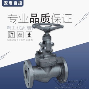 J41H-16C高温蒸汽导热油A105锻钢法兰截止阀DN15 20 25 32 40 50