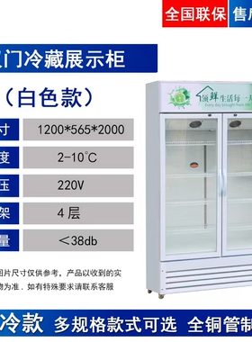 展示柜冷藏e饮料柜冰柜啤酒商用双门风冷立式保鲜柜超市三门冷饮